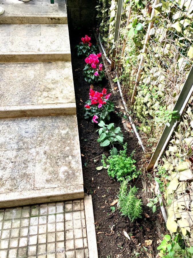 Vatican Garden Home Рим Екстер'єр фото
